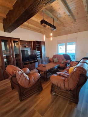 Zenit apartmani